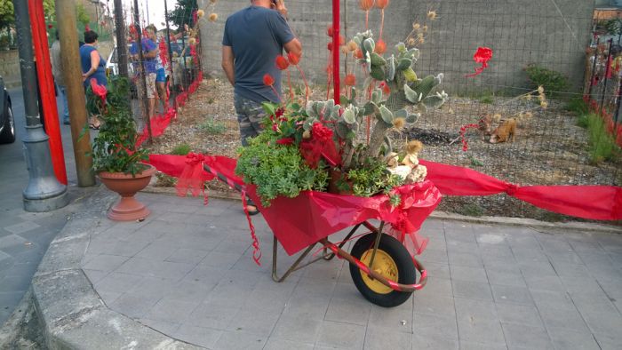 Casignana, Palio San Rocco. É il Rosso il colore del Rione Farrubaru