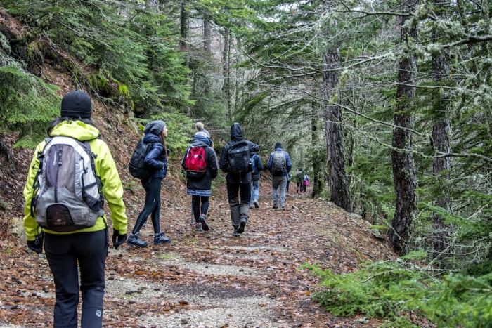 Nota stampa delle &quot;Guide parco Calabria&quot;: «Parchi post-coronavirus»