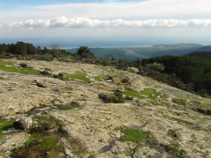 La superficie rocciosa ove sono state rinvenute le impronte