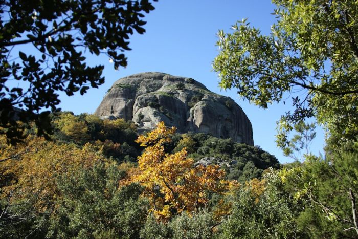 Escursioni. Domenica 9 dicembre “Gente in Aspromonte” sarà sul Crinale della &quot;Regina&quot; dell’Aspromonte