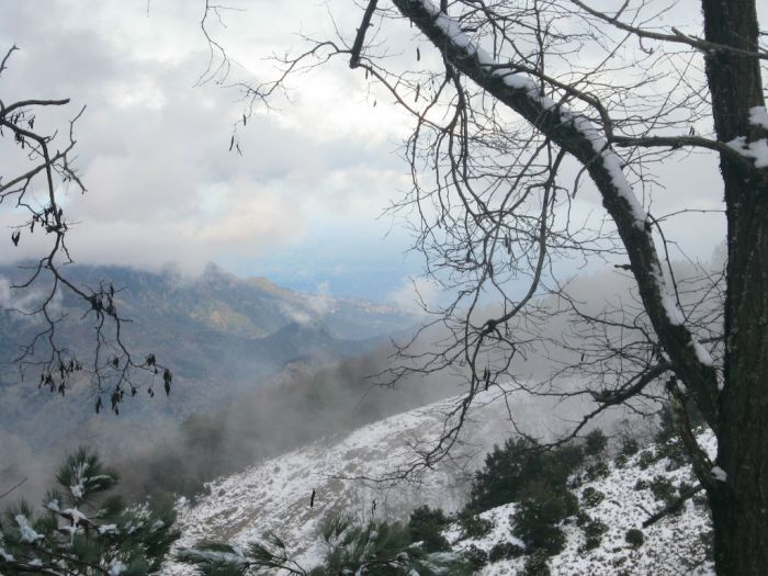 Ombre e luci. La montagna dei fuggiaschi