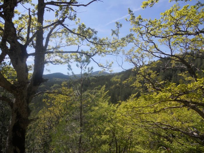 “Respiri d’Aspromonte” e l’amore per la montagna