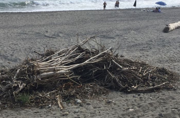 Pulizia spiaggia Palizzi, la risposta del sindaco Scerbo