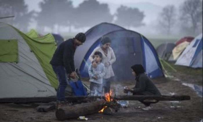 Le zagare di Idomeni