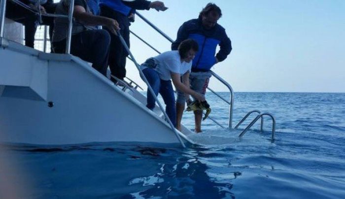 WWF. Da Policoro alleanza per le tartarughe marine