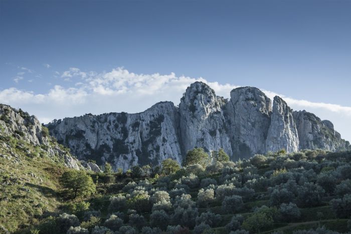 Escursioni. Domenica 2 “Gente in Aspromonte” andrà sul Monte Mutolo