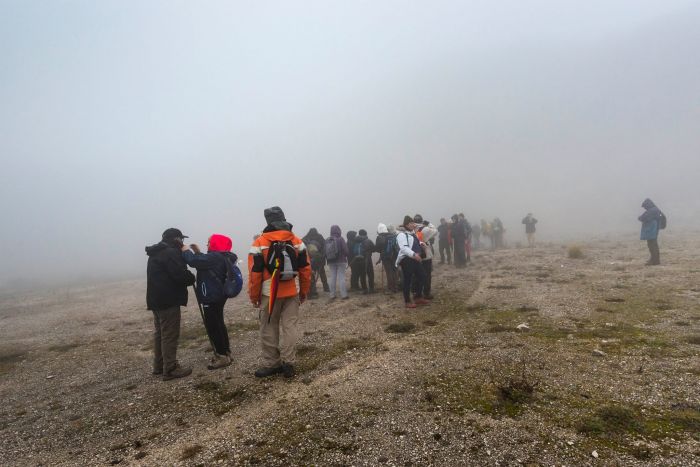 Escursione sul monte Mutolo: comunicato del Direttivo di “Gente in Aspromonte”