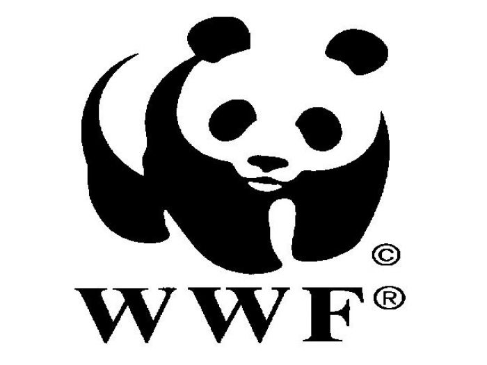 L&#039;Allarme del WWF per la pesca eccessiva