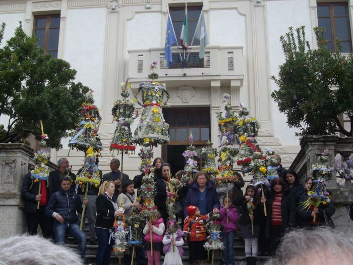 Domenica delle Palme. Le persefoni di fiori