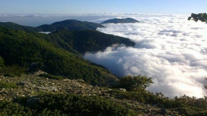 Vista da Montalto in direzione nord – Foto di Salvatore Foti