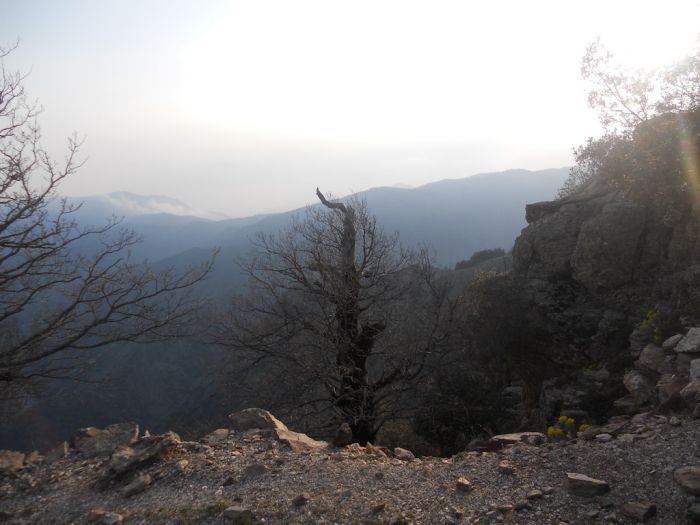 Facciamo Storia. Tutto nasce in Aspromonte