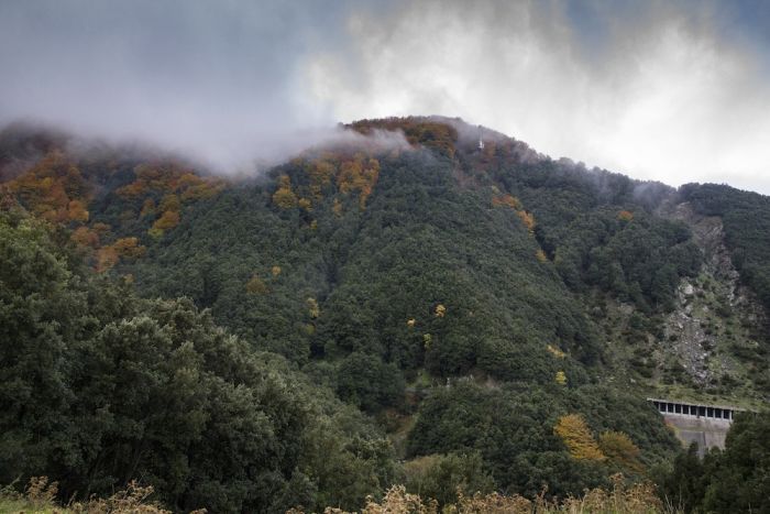 Escursioni. Domenica 7 Ottobre “Gente in Aspromonte” sarà sul Crinale di Monte Palazzo (Piminoro)