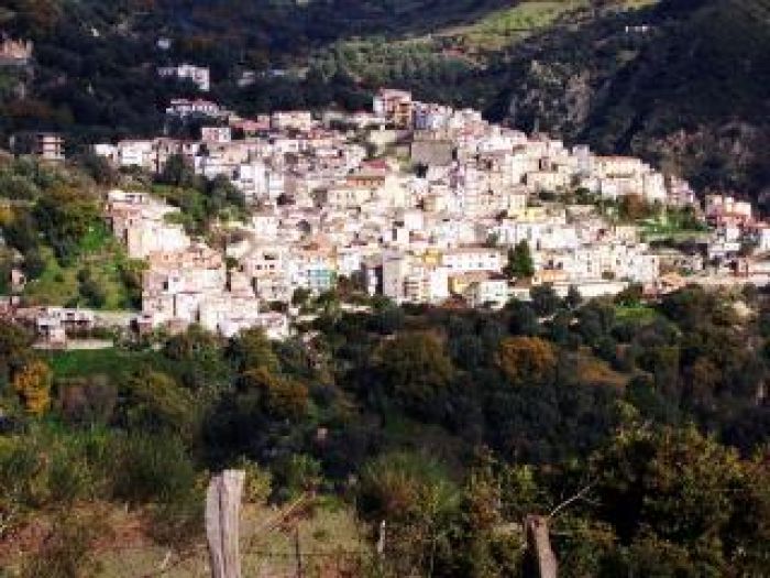 Reportage. Il bosco fiorito di Antonimina