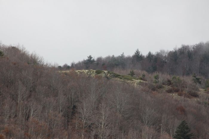 Escursioni. Domenica 11 novembre, “Gente in Aspromonte”, andrà sui Crinali di Monte Scorda