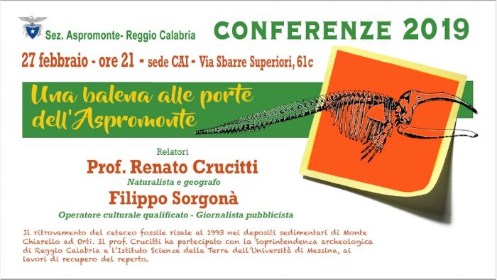 CaiReggio. Conferenza “Una Balena alle Porte dell’Aspromonte” 27 Febbraio 2019 ore 21