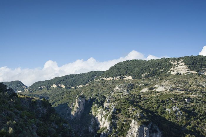 Escursioni. Domenica 29 gennaio, Gente in Aspromonte farà tappa a Mammola