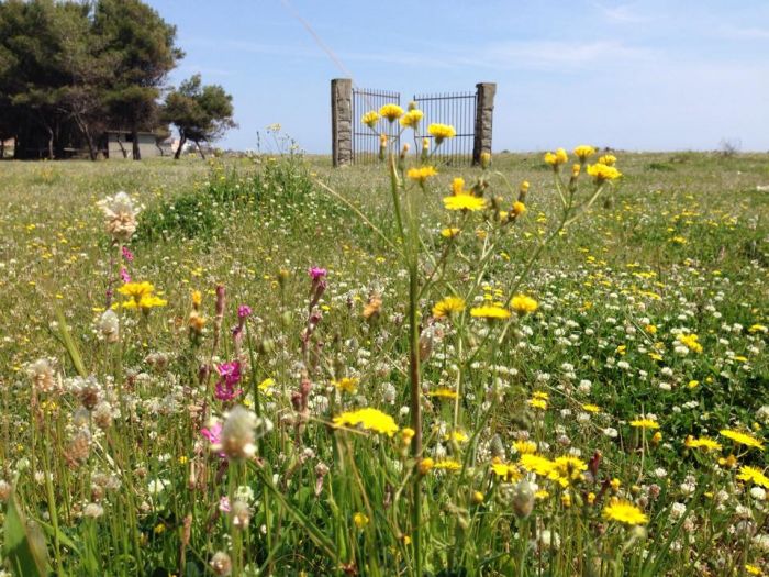 Riflessioni. La primavera dei luoghi tristi