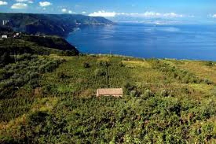 Domenica 27, l’escursione di Gente in Aspromonte ai “Giardini di pietra”, nel territorio di Bagnara