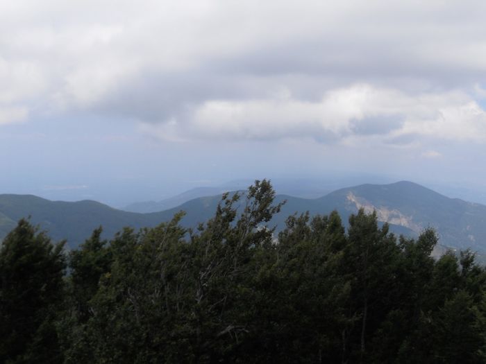 Domenica 23, l’escursione di Gente in Aspromonte sulla cima dell’Aspromonte