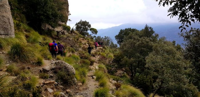 Domenica 20 gennaio, la prima escursione dell’anno di “Gente in Aspromonte” nel Bosco Ferullà, un sito di grande valenza ambientale