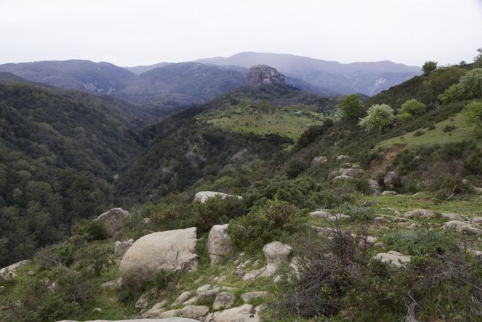 Domenica 20 riparte dal Bosco Ferullà (San Luca), il programma escursionistico di “Gente in Aspromonte”