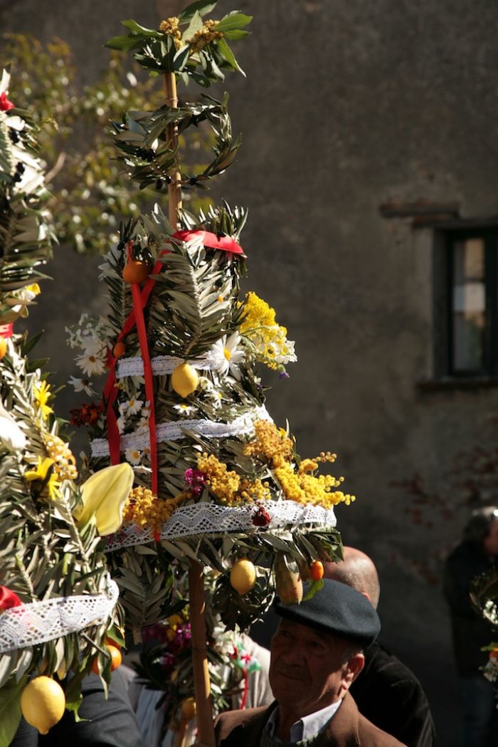 La Processione della Domenica delle Palme di Bova