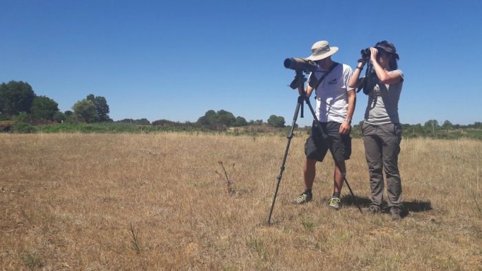 Parco Aspromonte, avviato Monitoraggio della migrazione post-riproduttiva dei rapaci