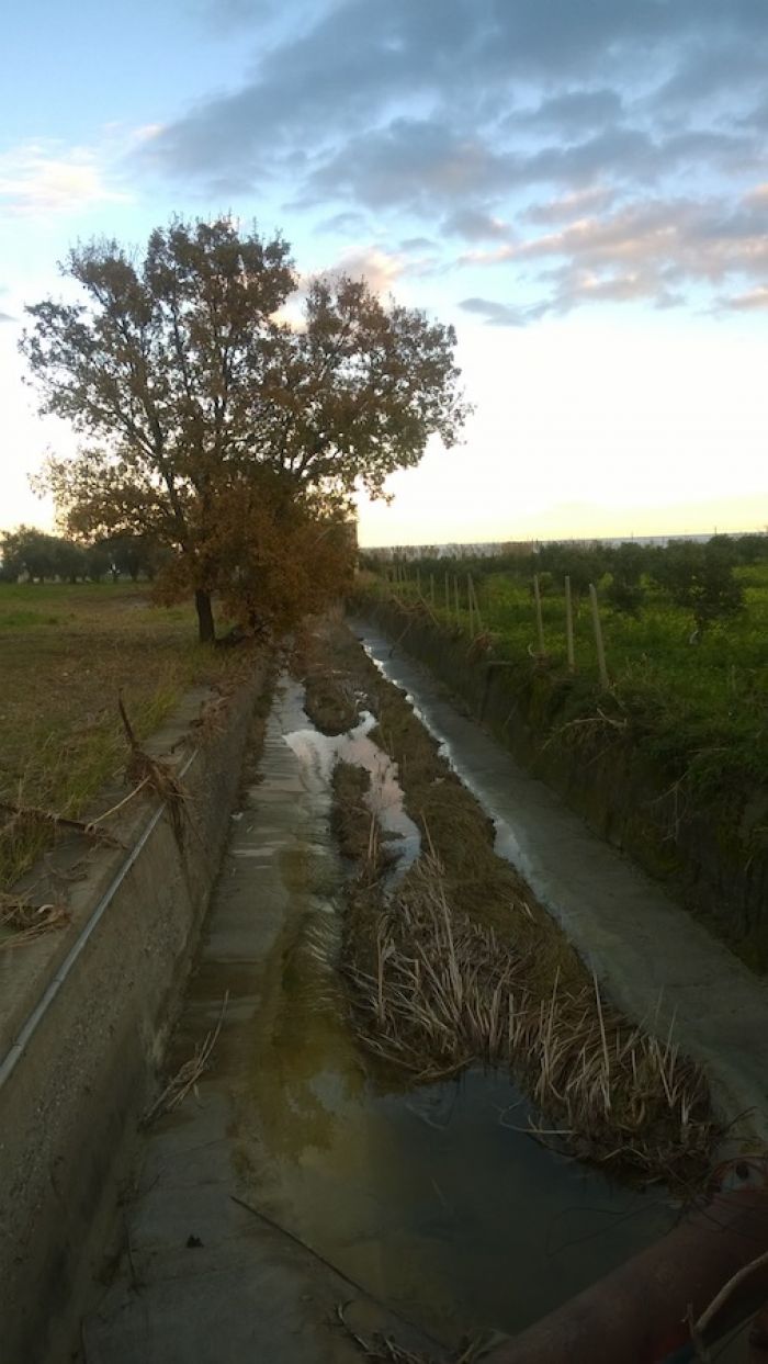 Impianto Consortile, Casignana. Ancora sversamenti di fogna nell&#039;area del Rambotta