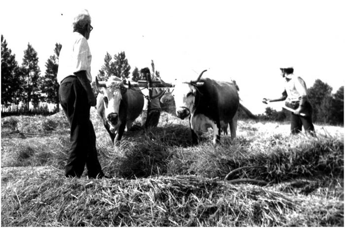 Campi di Bova, &quot;L&#039;orti di Masciu Leu&quot;